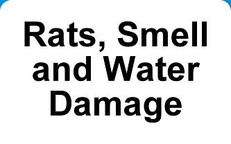 Rats Smell Water